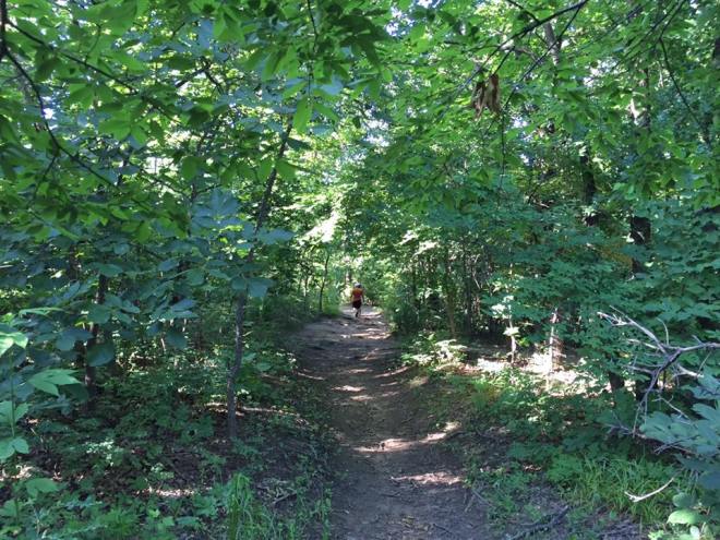 This stretch of trail on Turkey Mountain is now part of the National Recreation Trails system.